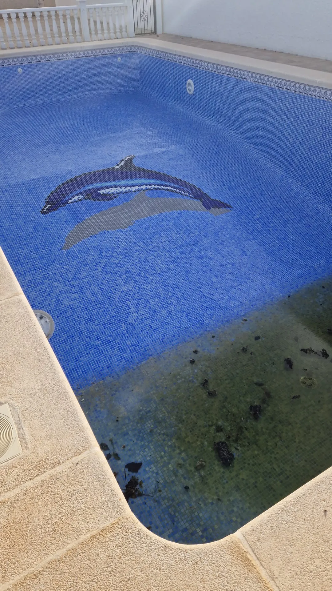 Piscina con mosaico de delfín antes del rejuntado, con juntas negras y suciedad
